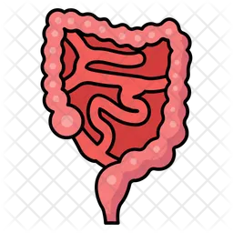 Digestive organ  Icon