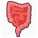 Digestive Organ Gut Bowel Icon