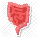 Digestive Organ Gut Bowel Icône