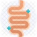 Healthcare Medical Digestive Icon