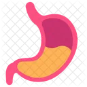 Digestive System Stomach Healthy Icon