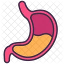 Digestive System Stomach Internal Icon