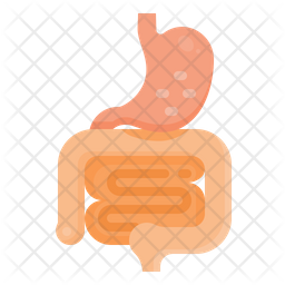 Digestive System Icon