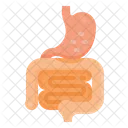 Digestive System  Icon