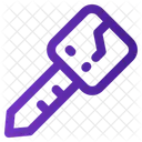 Digital Key Cyberspace Icon