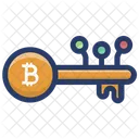 Digital Bitcoin Key  Icon