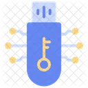 Digital Key Usb Icon