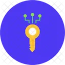 Digital Key  Icon