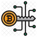 Bitcoin Cryptocurrency Key Icon