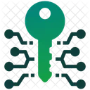 Digital Key Encryption Key Security Icon