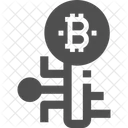 Digital Key Bitcoin Key Digital Key Icon
