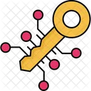 Digital Key Key Digital Icon