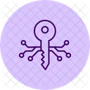 Digital Key Pentaglow Icon