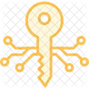 Digital key  Icon