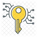 Digital Key Key Keyword Icon