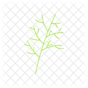 Dill Icon