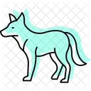 Dingo Mammal Canine Icon