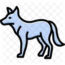 Dingo Mammal Canine Icon