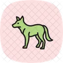 Dingo Symbol