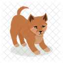 Dingo Dog Puppy Icon