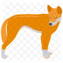 Cachorro dingo  Ícone