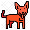 Dingo-Hund  Symbol