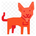 Dingo-Hund  Symbol