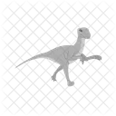Dinosaur Animal Wildlife Icon