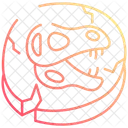 Dinosaur Fossils Dinosaur Remains Dinosaur Icon