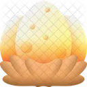 Dinosaur  Icon