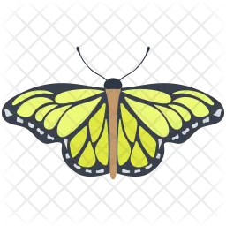 Dione Butterfly  Icon