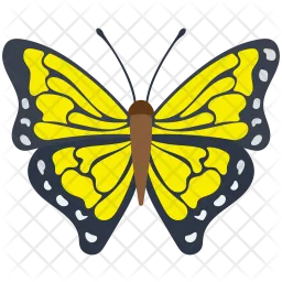 Dione Butterfly  Icon