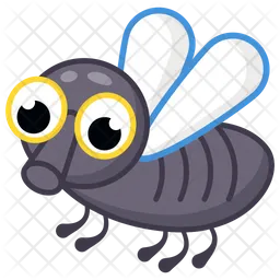 Diptera  Icon