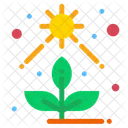 Direct  Icon