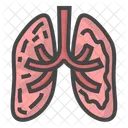 Dirty Lungs Lung Disease Lungs Icon