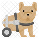Disabled Dog Icon