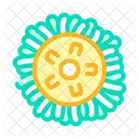 Disc Surface Cleaning Icon