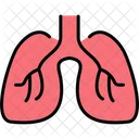 Disease Health Pulmonary Icon