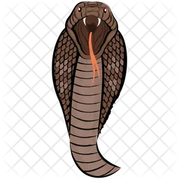 Disegno del serpente  Icon