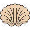Dish Shell Plate Icon