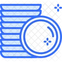 Dish Plate  Icon