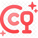 Asset Icon