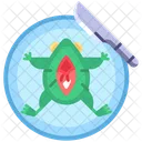 Dissection Frog Anatomy Icon