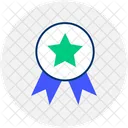 Distintivo Com Uma Estrela Excelencia Reconhecimento Ícone