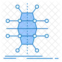 Distribution  Icon