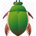 ゲンゴロウ  アイコン