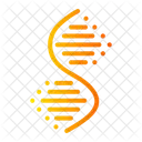 Dna Structure Body Icon