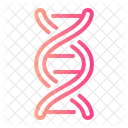 Dna Biology Dna Structure Icon