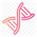 Dna Genetical Dna Structure Icon