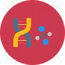 Dna Science Biology Icon